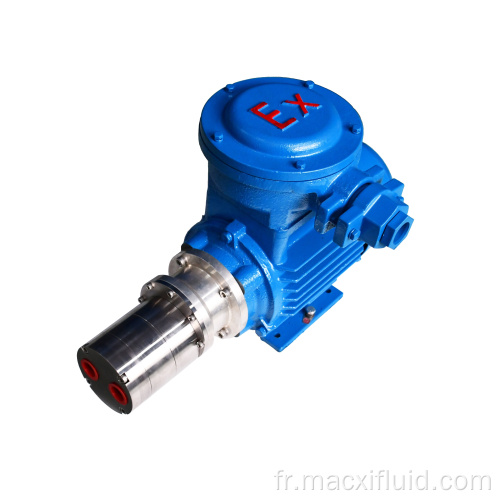 Explosion Proof AC Asynchronous Motor Micro Gear Pump